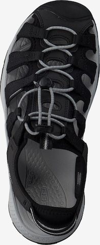 Sandales de randonnée 'Astoria West Sandal 1023594' KEEN en noir