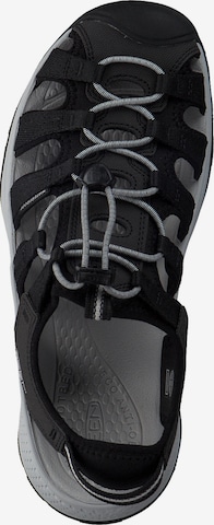 KEEN Wandelsandalen 'Astoria West Sandal 1023594' in Zwart