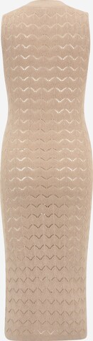 Vila Petite Knitted dress 'SIA' in Beige