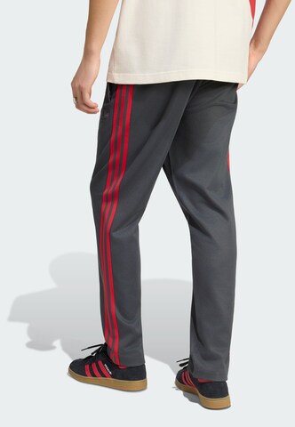 ADIDAS PERFORMANCE - regular Pantalón deportivo 'River Plate 125th Anniversary' en gris