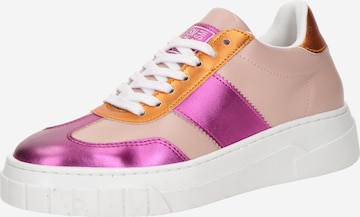 STEVE MADDEN Низкие кроссовки 'Callie' в Ярко-розовый: спереди