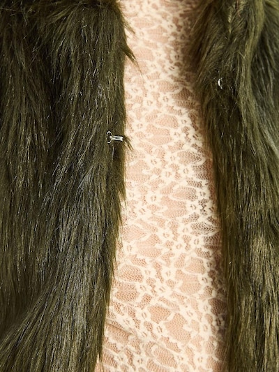 Bianco Lucci Between-Season Jacket in Kiwi, Item view