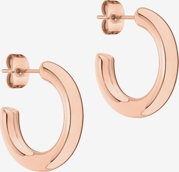 Liebeskind Berlin Earrings in Gold: front