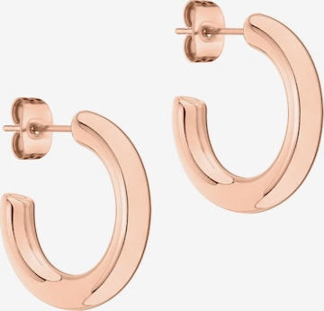 Liebeskind Berlin Earrings in Gold: front