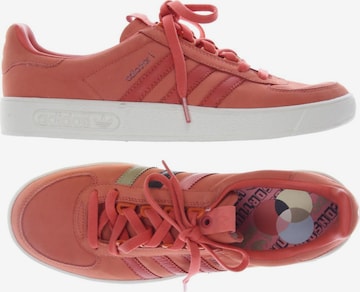 ADIDAS ORIGINALS Sneakers & Trainers in 43 in Pink: front