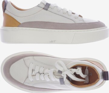 WHITE STUFF Sneaker 37 in Beige: predná strana