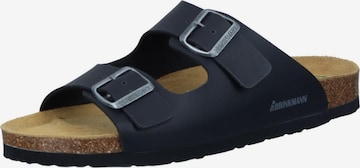 DR. BRINKMANN Mules 'Pantoletten BONILLO' in Black: front