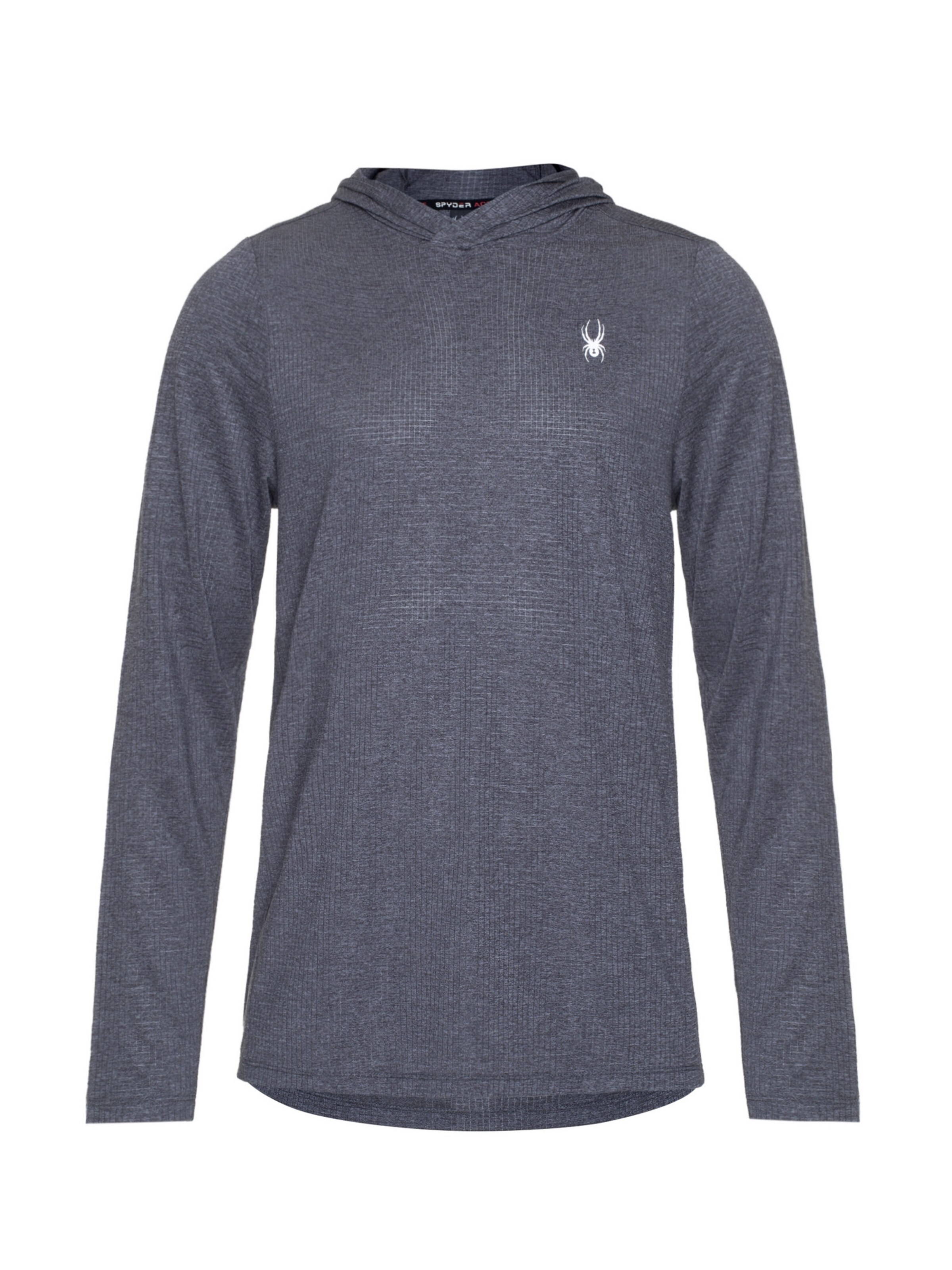 Spyder Αθλητική μπλούζα φούτερ σε γκρι: μπροστά