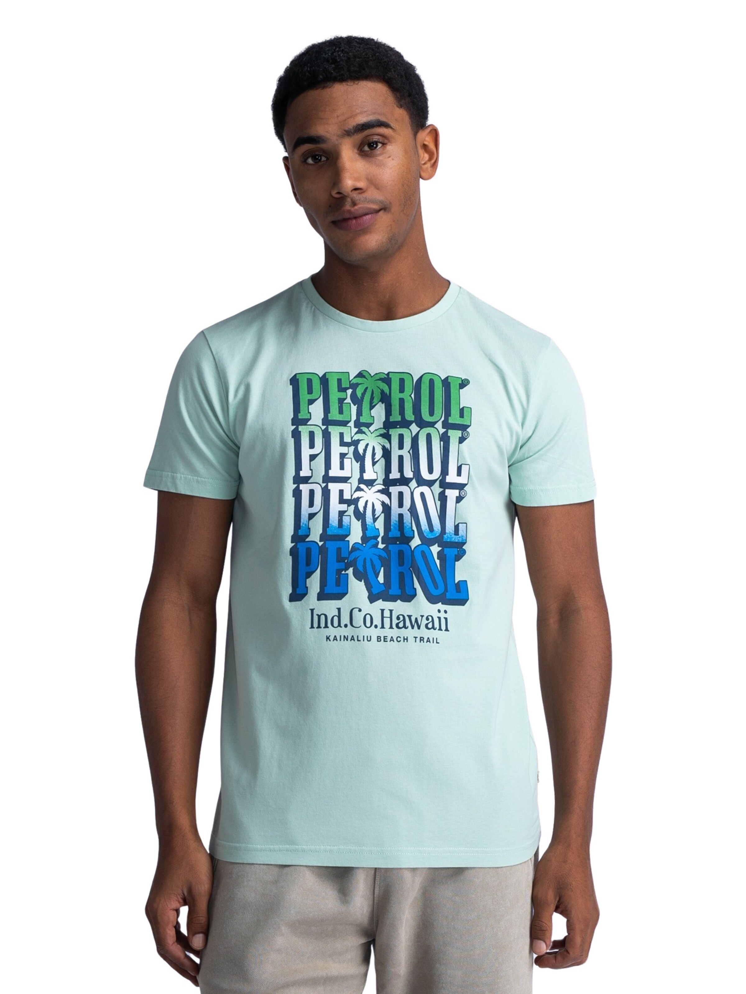 Maglietta 'Radiance' di Petrol Industries in verde: frontale