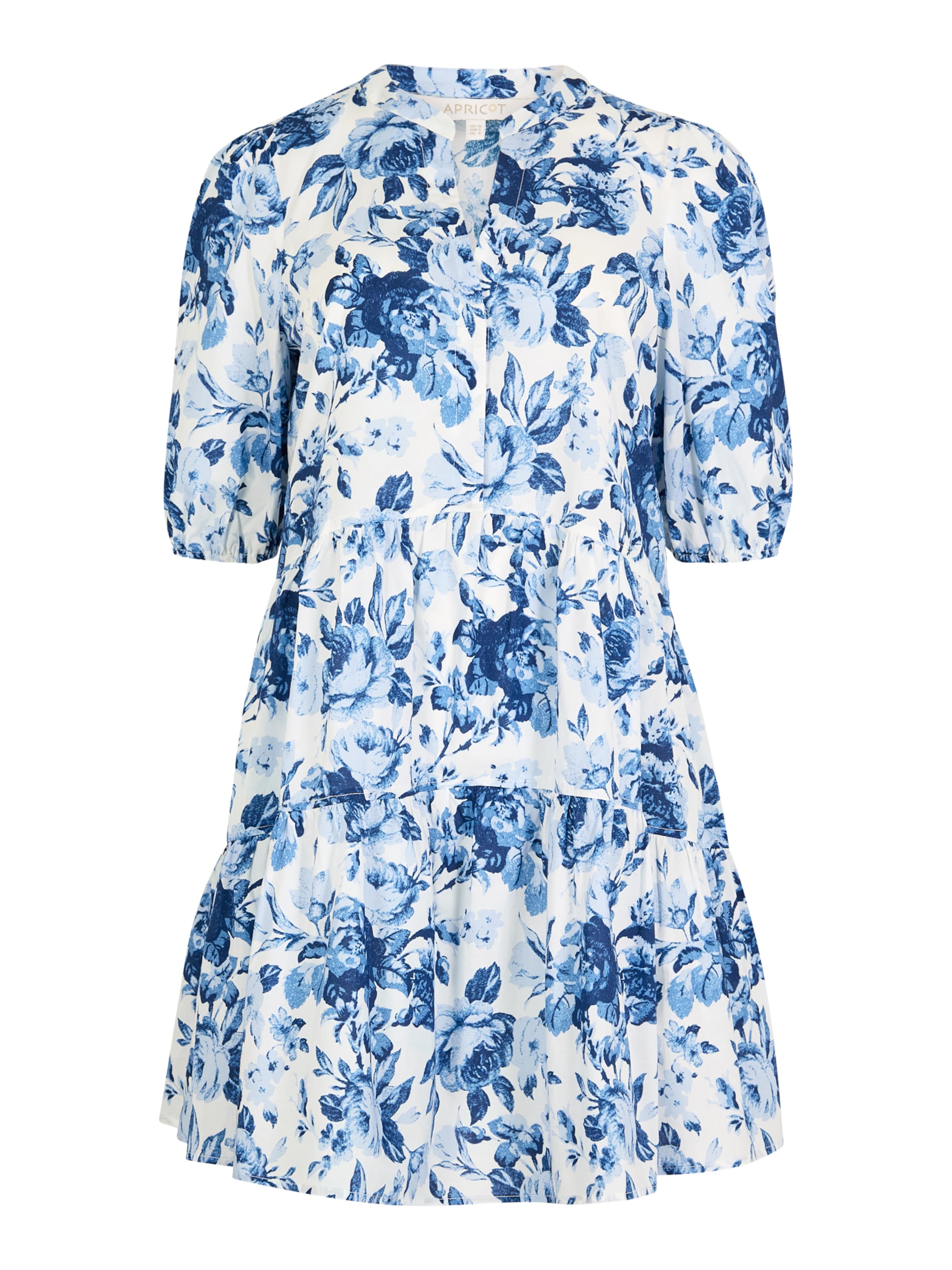 Apricot Dress in Blue: front