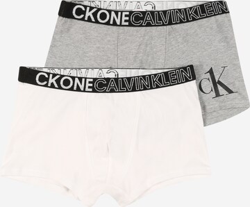 Calvin Klein Underwear Unterhose in Grau: front