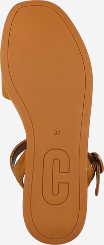 CAMPER Strap Sandals 'Misia' in Brown