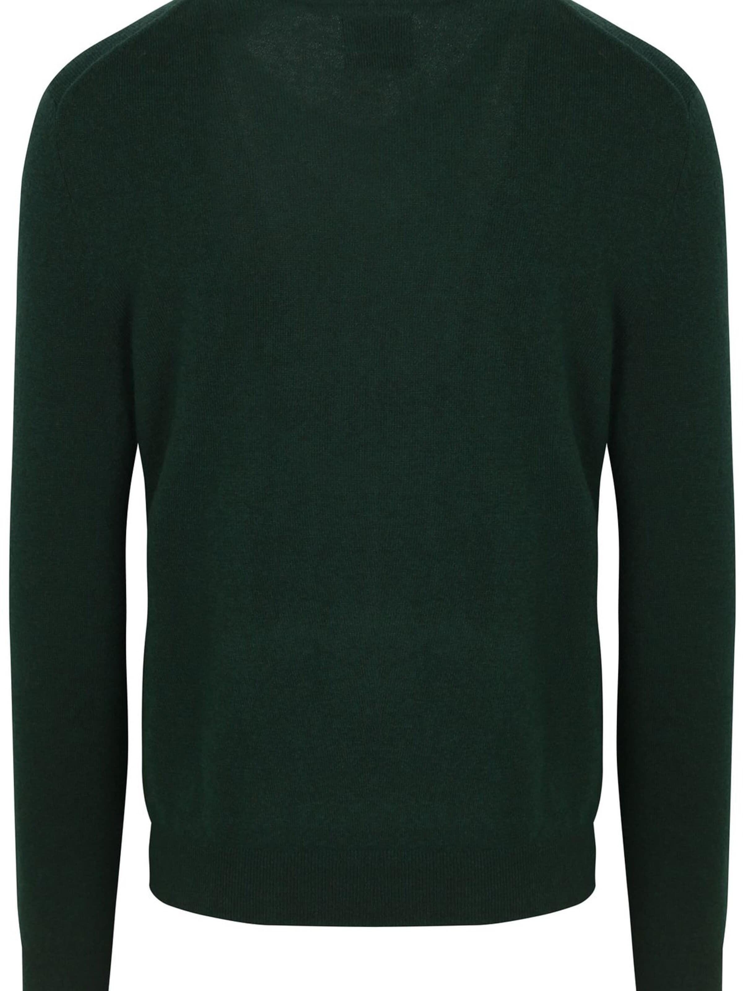 GANT Trui in Groen