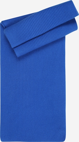 mėlyna & Other Stories Šalikas: priekis