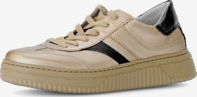 GABOR Sneaker in 39 in gold / schwarz, Produktansicht