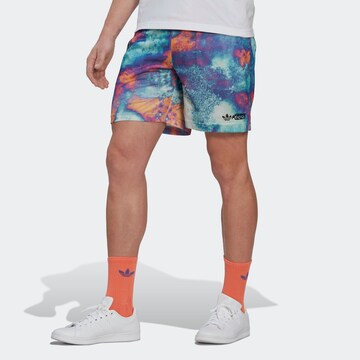 regular Pantaloni di ADIDAS ORIGINALS in blu: frontale