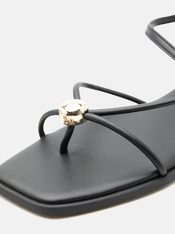 STEVE MADDEN Σαγιονάρες διχαλωτές 'Tiki' σε μαύρο