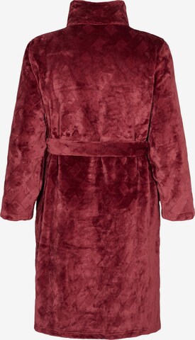 Zizzi Dressing Gown in Red