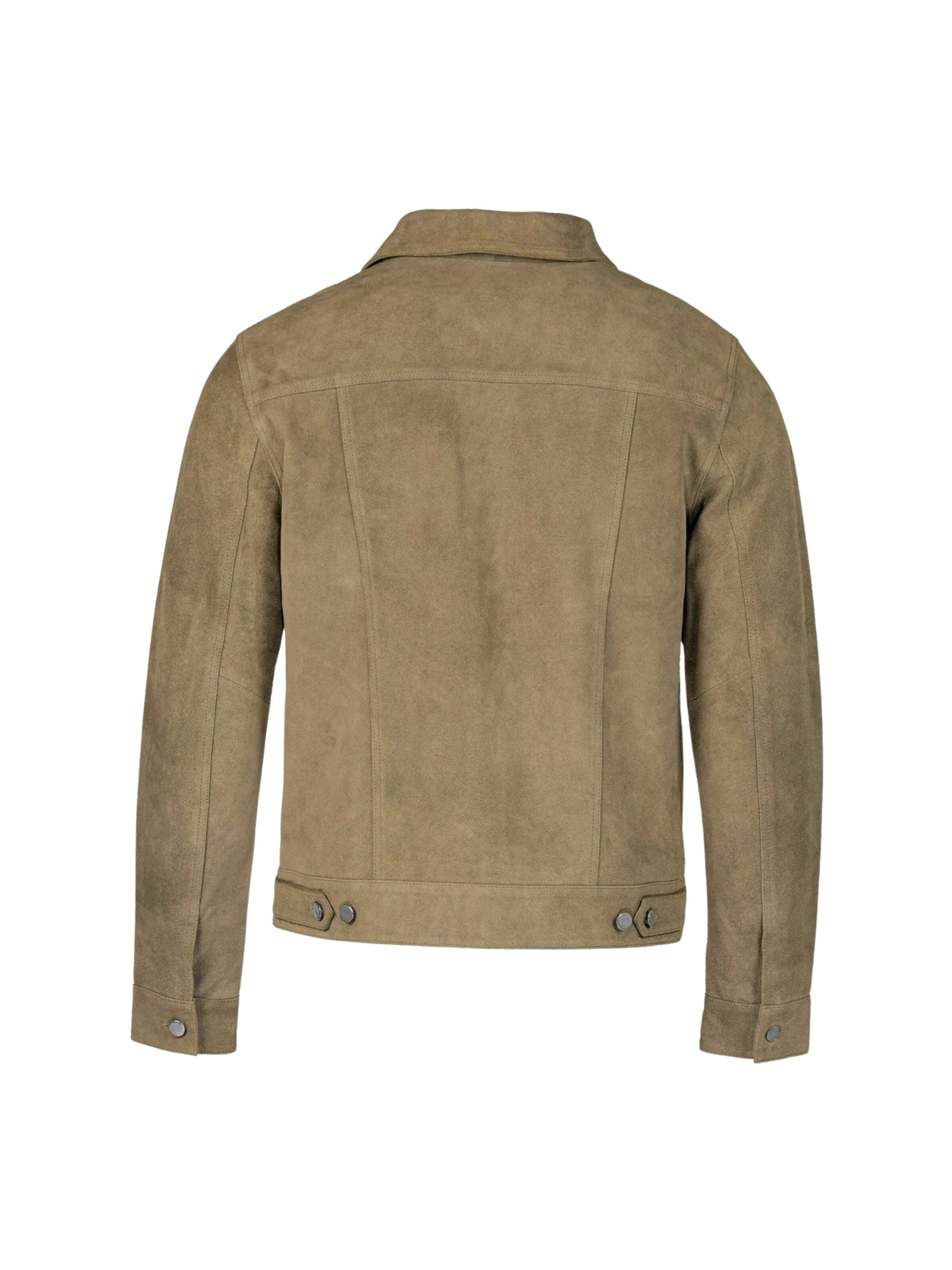 Veste mi-saison 'Weston' still Nordic en vert