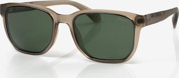 Superdry Eyewear Sunglasses in Grey: front