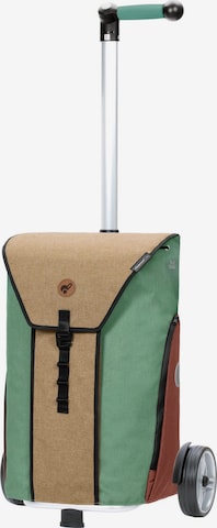 Andersen Shopper Trolley 'Oli' in Gemengde kleuren: voorkant