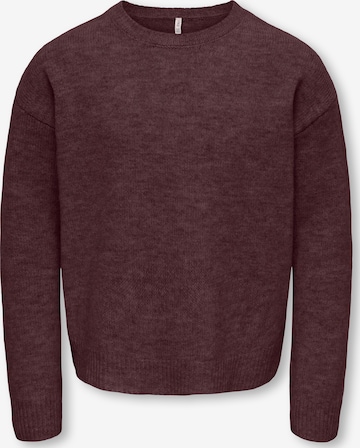 ONLY GIRLS Pullover 'KOGOLIVIA' in Braun: Vorderseite