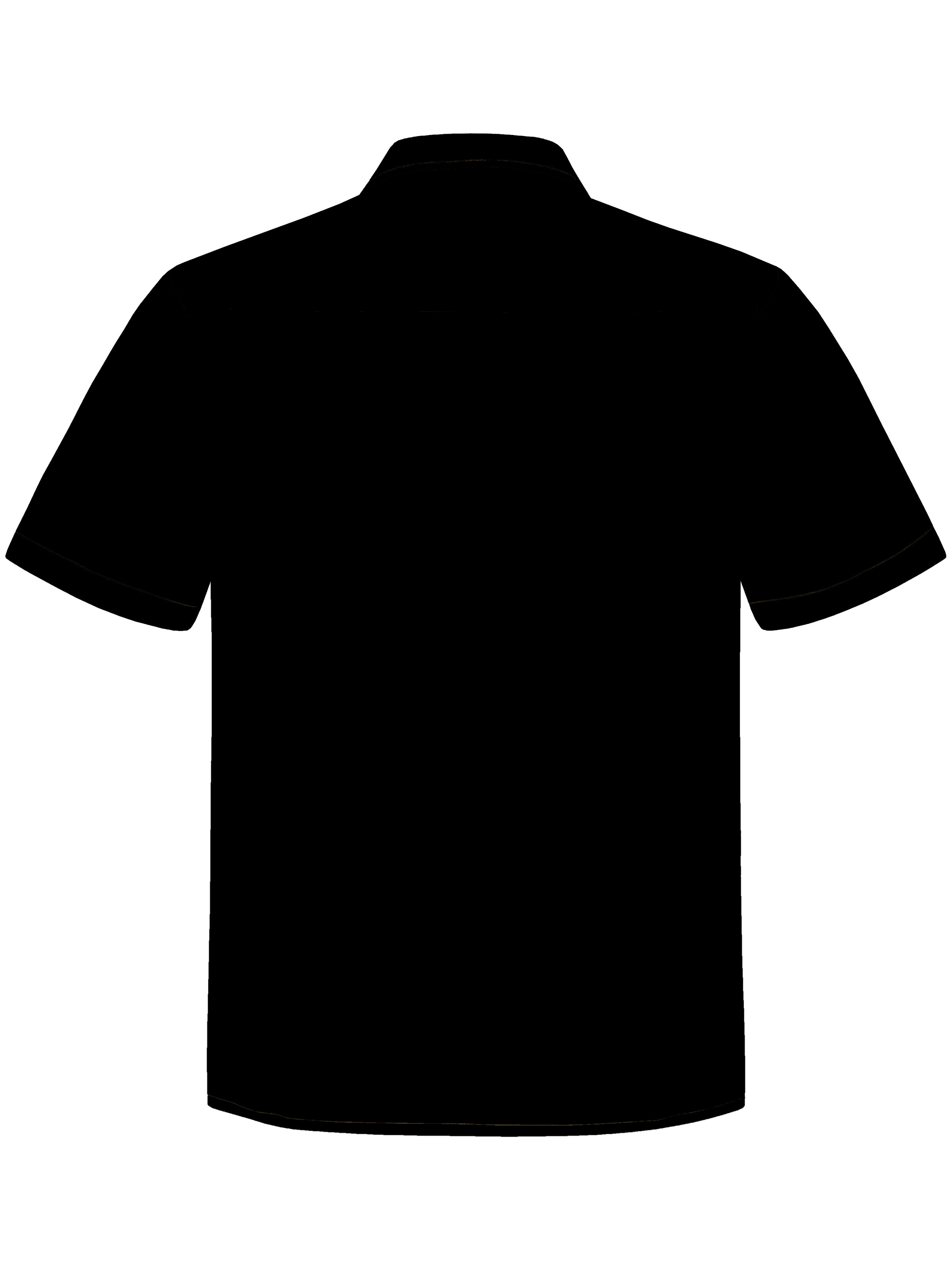 Hawaiihemdshop.de Regular fit Button Up Shirt 'Hawaiihemd Parrots Elegance' in Black