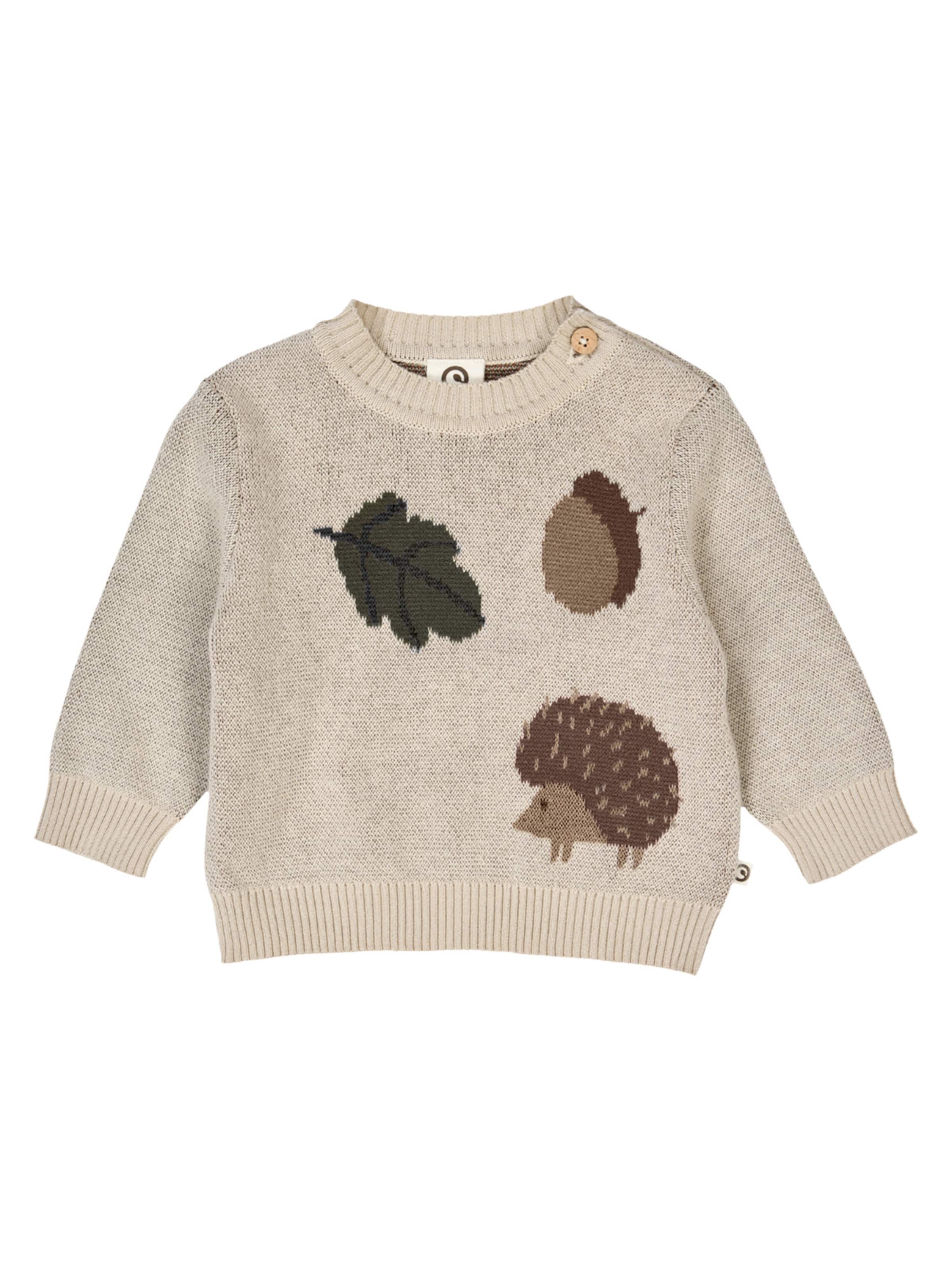 Pull-over Müsli by GREEN COTTON en beige : devant