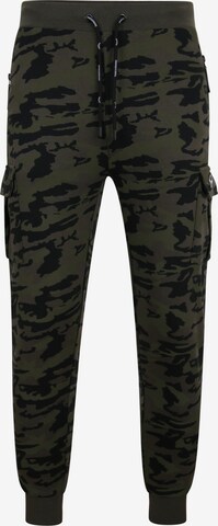 Threadbare Pants 'Timber' in Green: front