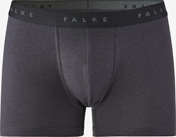 FALKE Boxershorts in Grau: Vorderseite