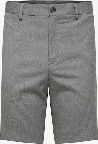 SELECTED HOMME Regular Chino Pants 'ADAM' in Grey: front