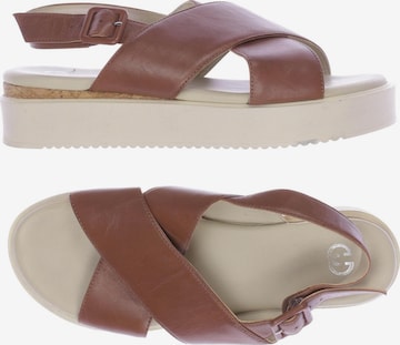 GERRY WEBER Sandals & High-Heeled Sandals in 39 in Brown: front