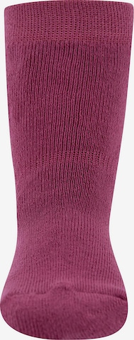 Chaussettes EWERS en violet