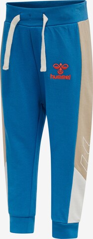 Hummel Regular Sportbroek 'FINN' in Blauw