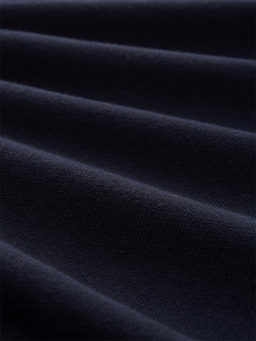 TOM TAILOR DENIM Trui in Blauw