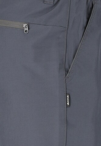 Whistler Regular Sportbroek 'Barrie' in Blauw