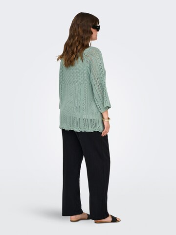 Pullover 'CARNOLA' di ONLY Carmakoma in verde