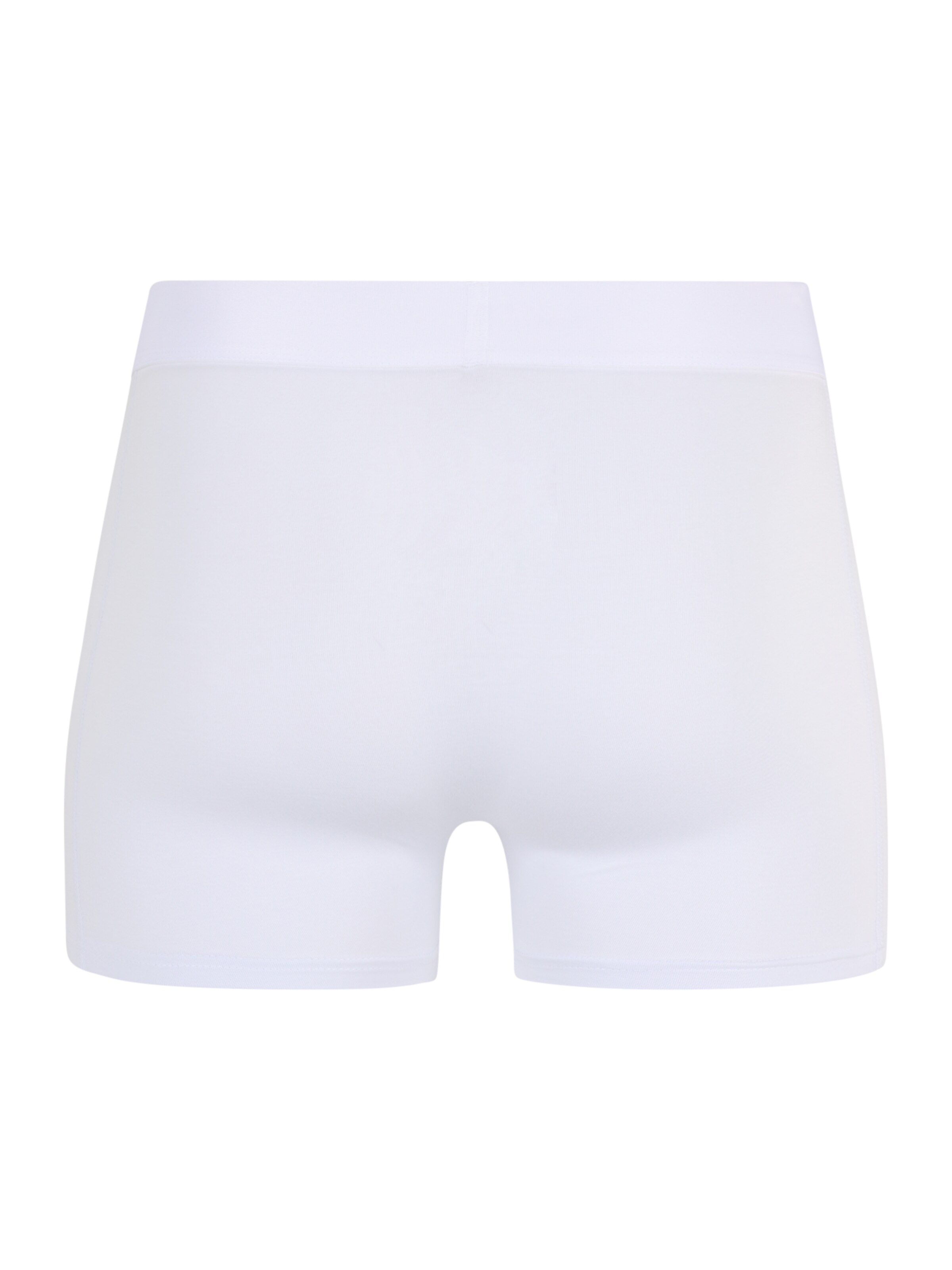 Resteröds Μποξεράκι σε λευκό