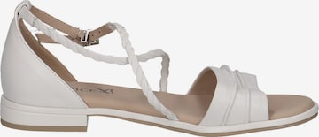 CAPRICE Sandals in White