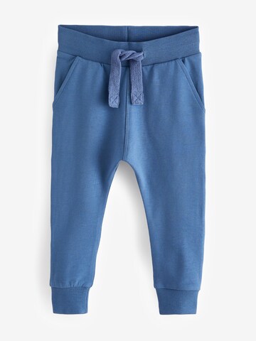 Tapered Pantaloni di Next in colori misti