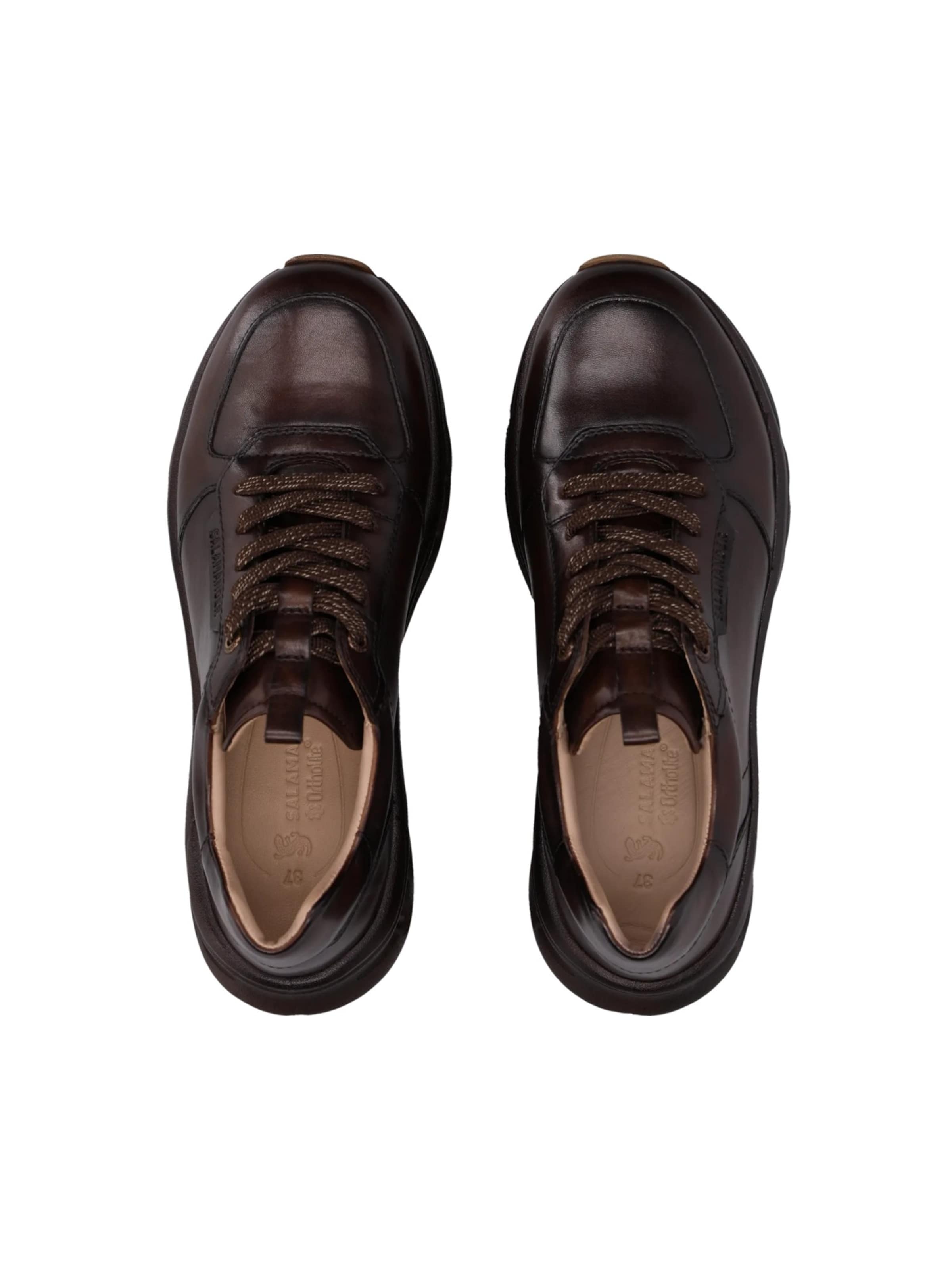 Baskets basses SALAMANDER en marron