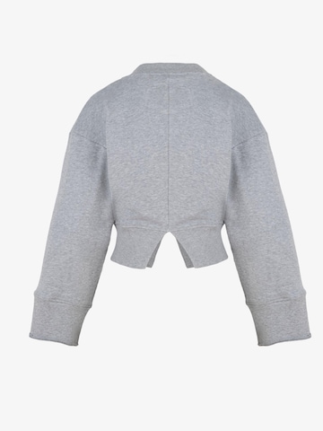 Sweat-shirt FEMSSY en gris