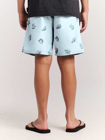 PROTEST Zwemshorts 'PRTHector JR' in Blauw