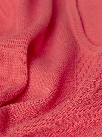 Goldner Sweater in Red