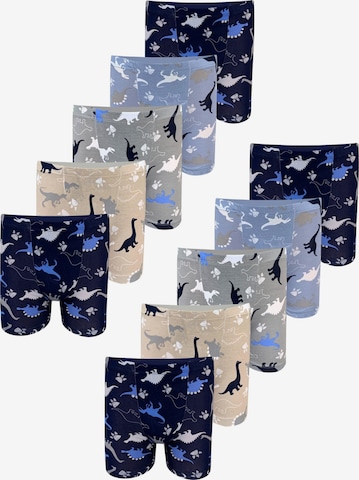 LOREZA Underpants 'Jungen Boxershorts Dino' in Mixed colours: front