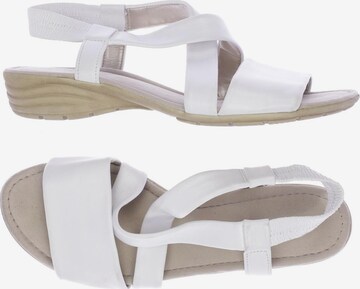GABOR Sandals & High-Heeled Sandals in 39,5 in White: front