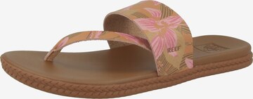 REEF Strandschuh 'Cushion Bounce Sol' in Braun: front