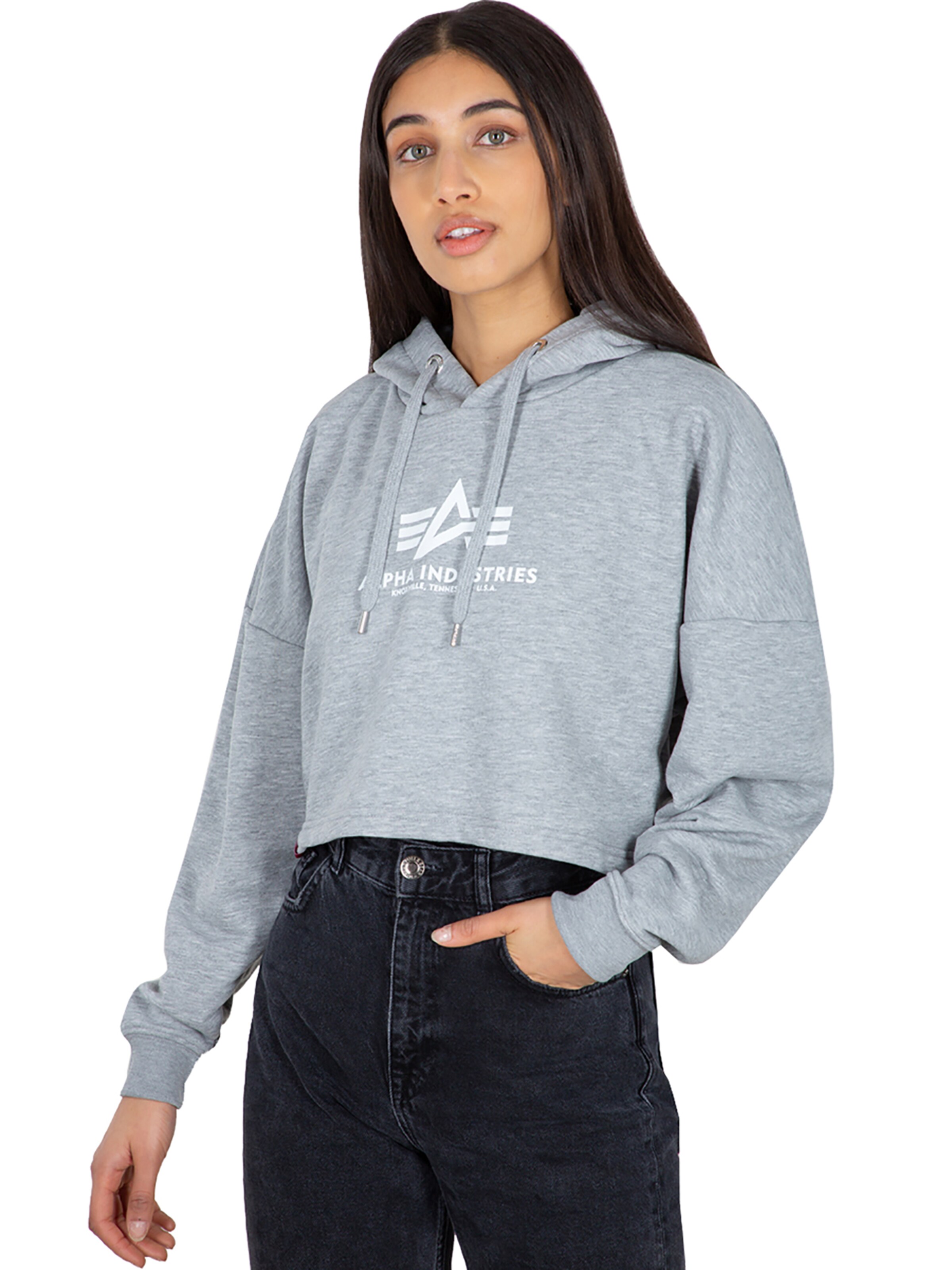 ALPHA INDUSTRIES Sweatshirt 'Basic' in Grey: front