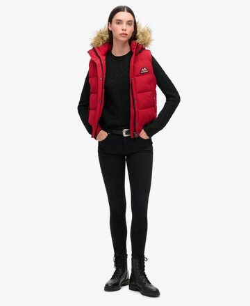 Superdry Bodywarmer in Rood