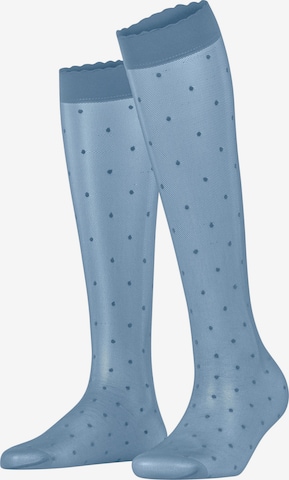FALKE Overknee Strümpfe 'Dot' in Blau: Vorderseite